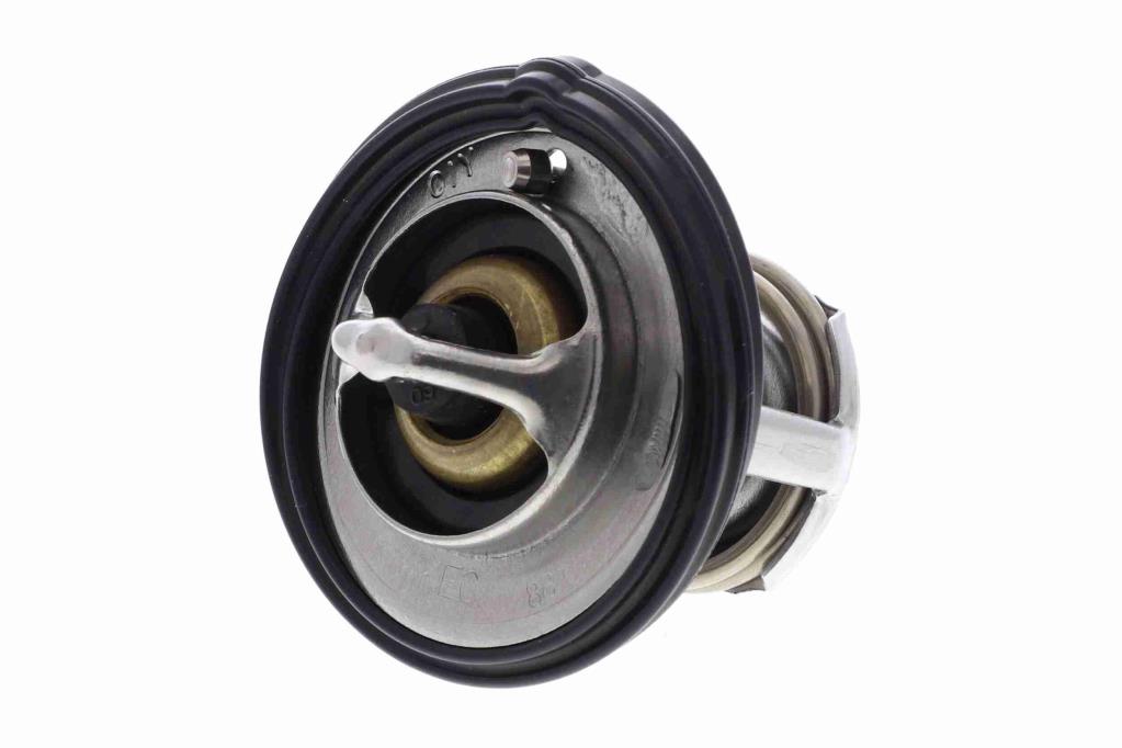 Thermostat d'eau (Calorstat) ACKOJA A52-99-0016