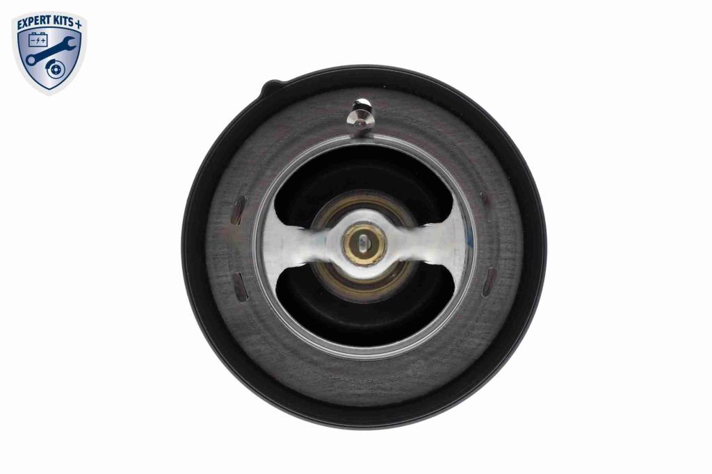 Thermostat d'eau (Calorstat) ACKOJA ref. A52-99-0019