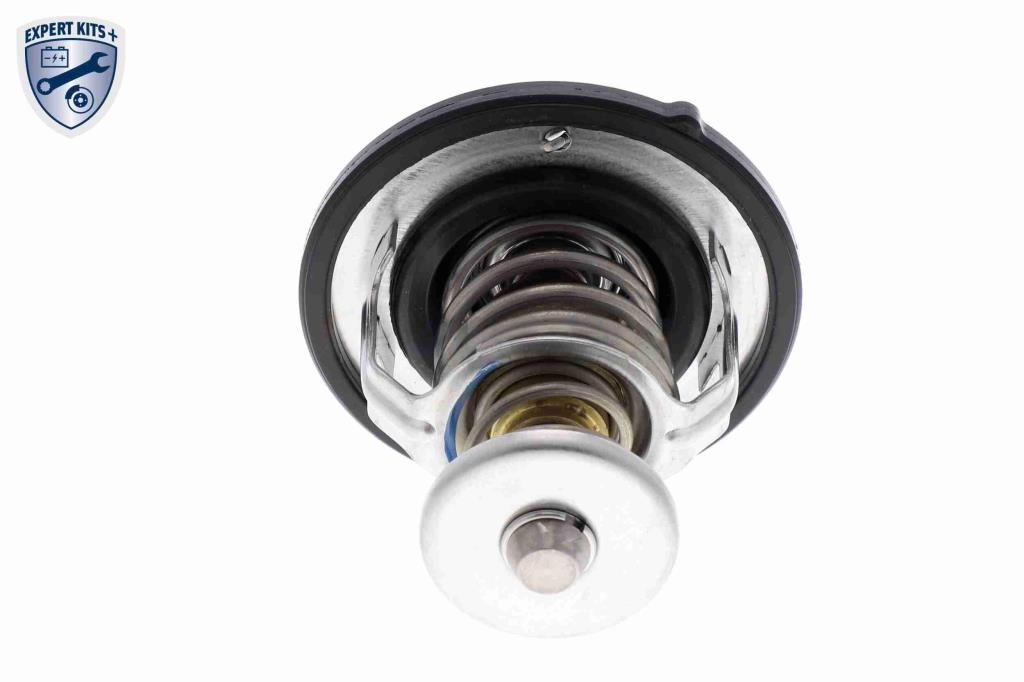 Thermostat d'eau (Calorstat) ACKOJA ref. A52-99-0019