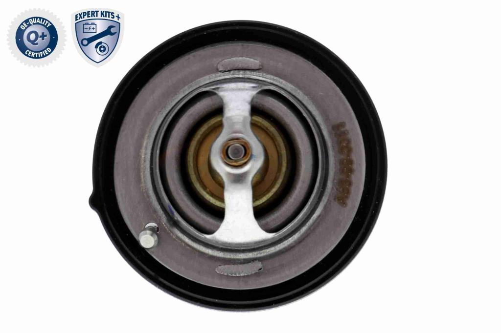 Thermostat d'eau (Calorstat) ACKOJA ref. A53-99-0011