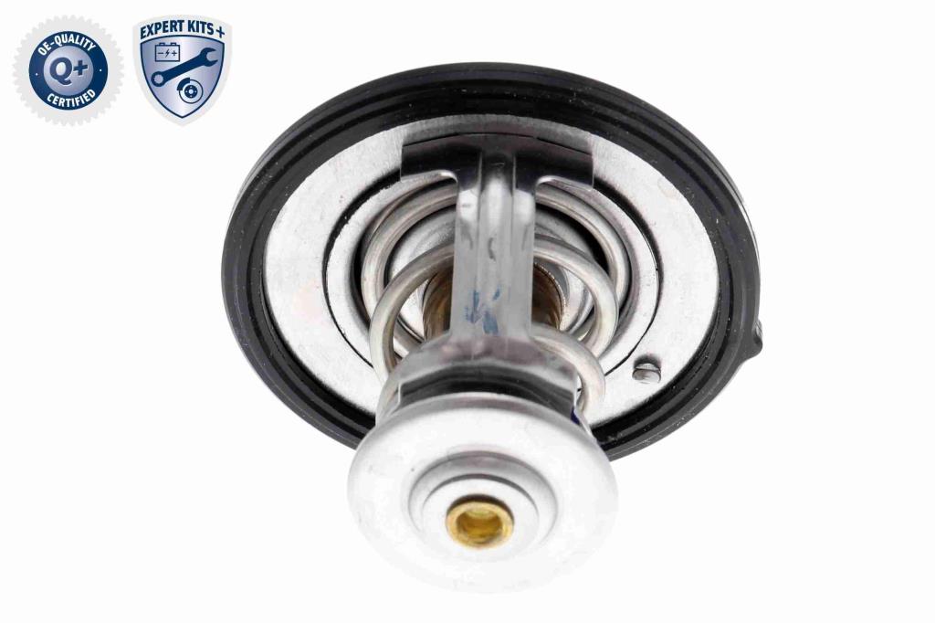 Thermostat d'eau (Calorstat) ACKOJA ref. A53-99-0011