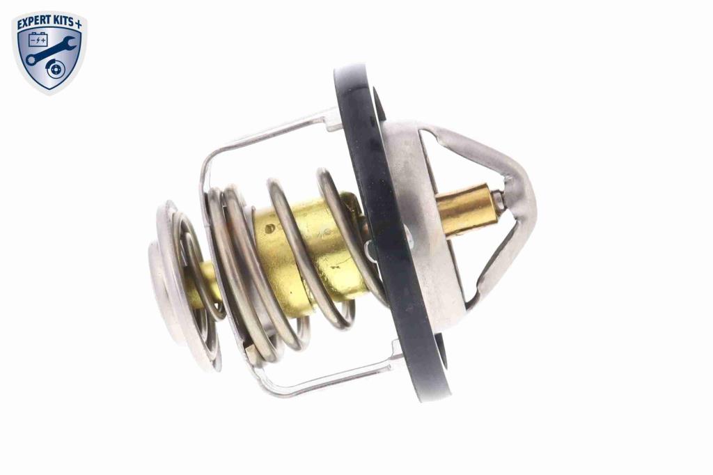 Thermostat d'eau (Calorstat) ACKOJA A55-99-0001