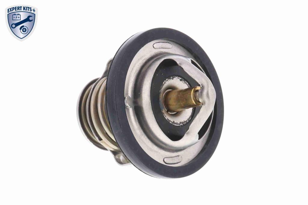 Thermostat d'eau (Calorstat) ACKOJA A55-99-0001