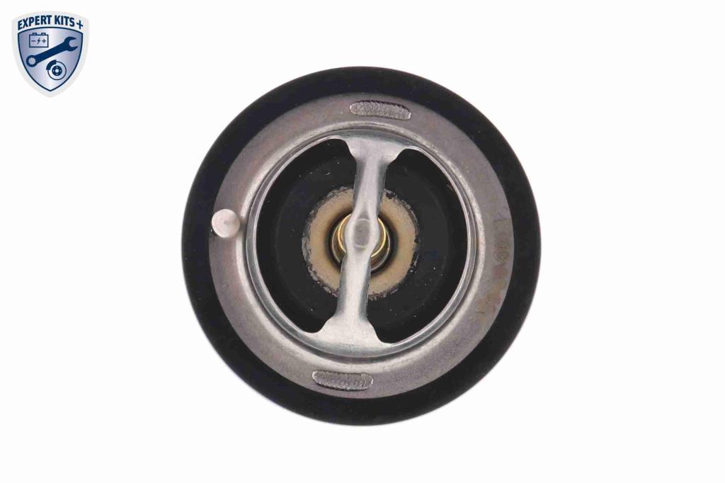Thermostat d'eau (Calorstat) ACKOJA A55-99-0001
