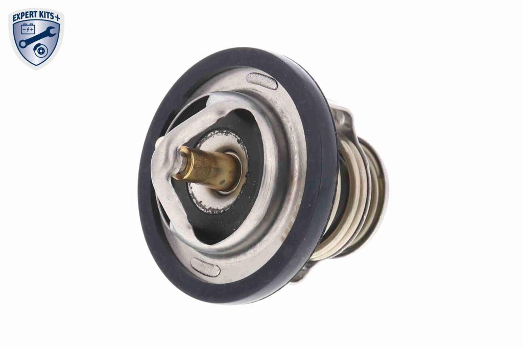 Thermostat d'eau (Calorstat) ACKOJA A55-99-0001