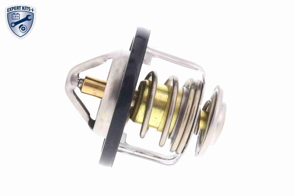 Thermostat d'eau (Calorstat) ACKOJA A55-99-0001