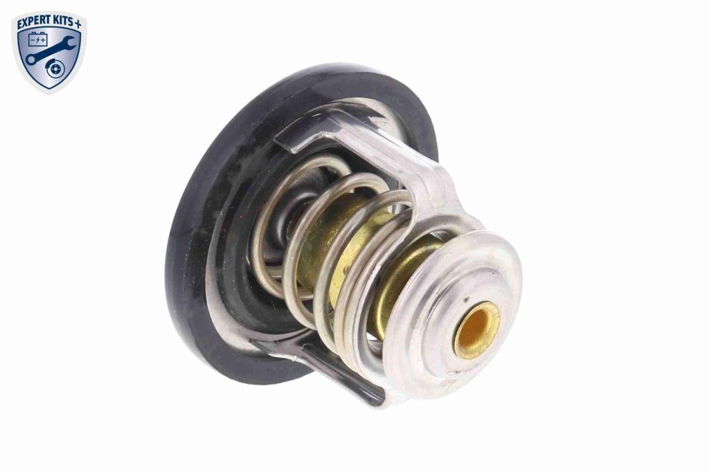 Thermostat d'eau (Calorstat) ACKOJA A55-99-0001