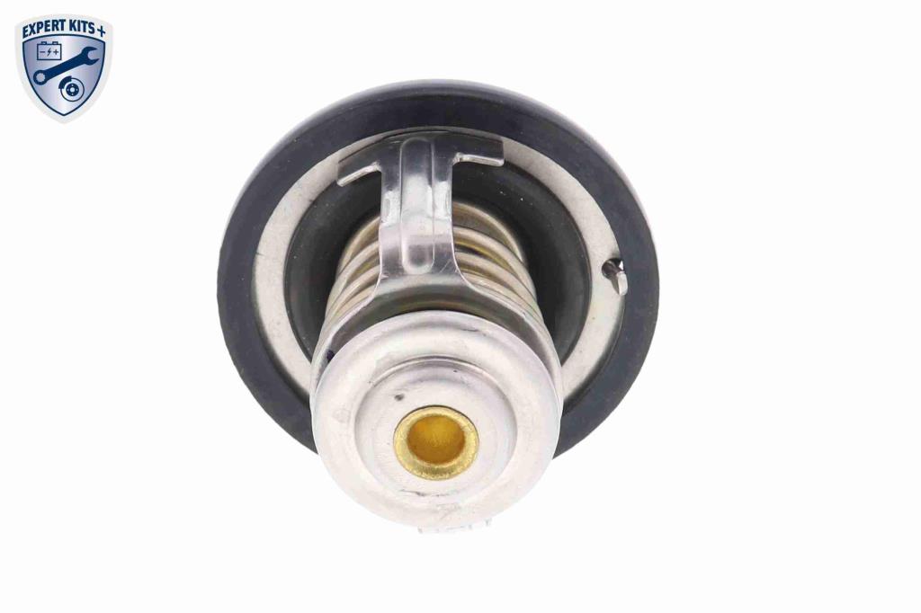 Thermostat d'eau (Calorstat) ACKOJA A55-99-0001