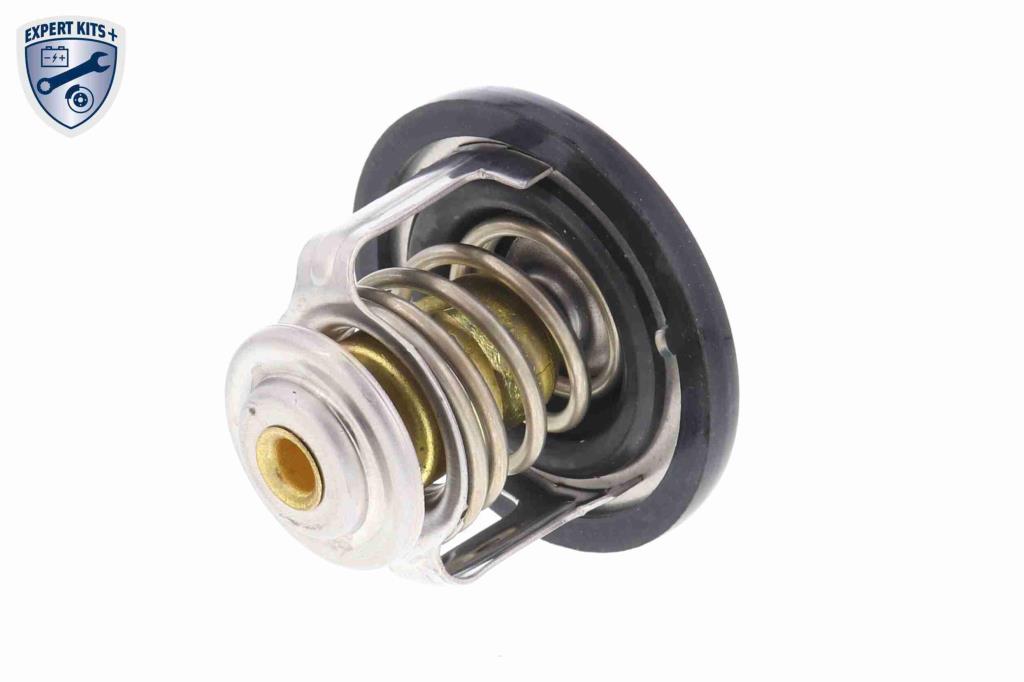 Thermostat d'eau (Calorstat) ACKOJA A55-99-0001