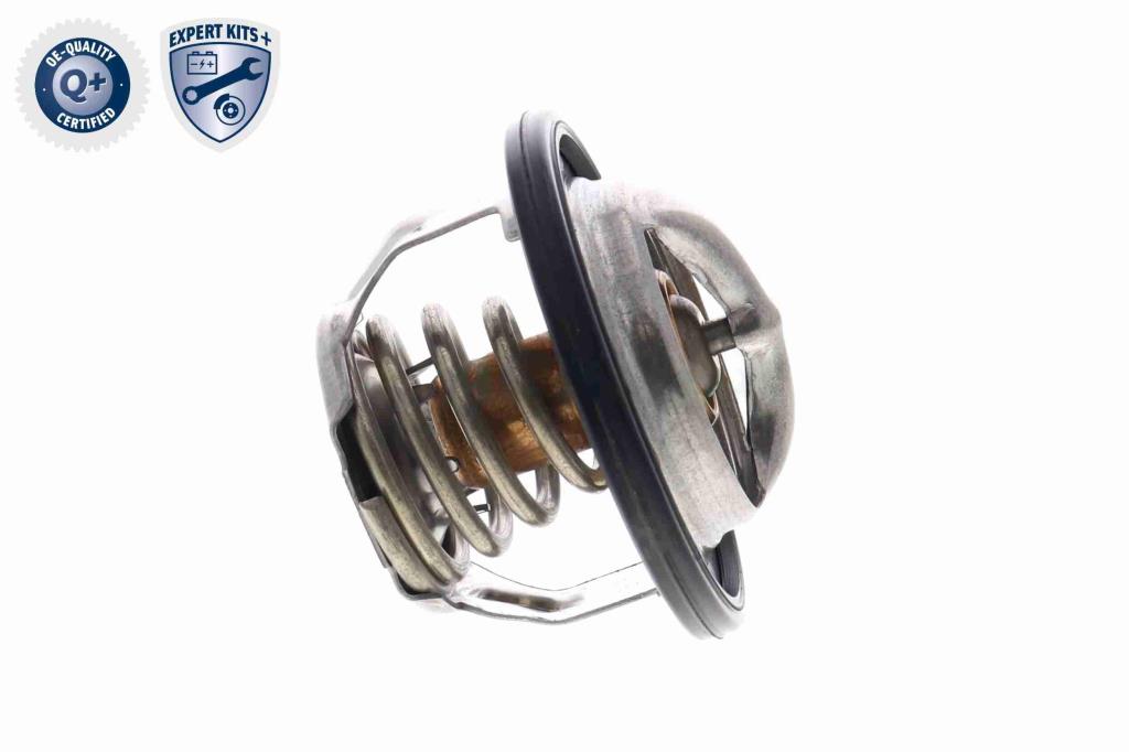 Thermostat d'eau (Calorstat) ACKOJA A63-99-0004