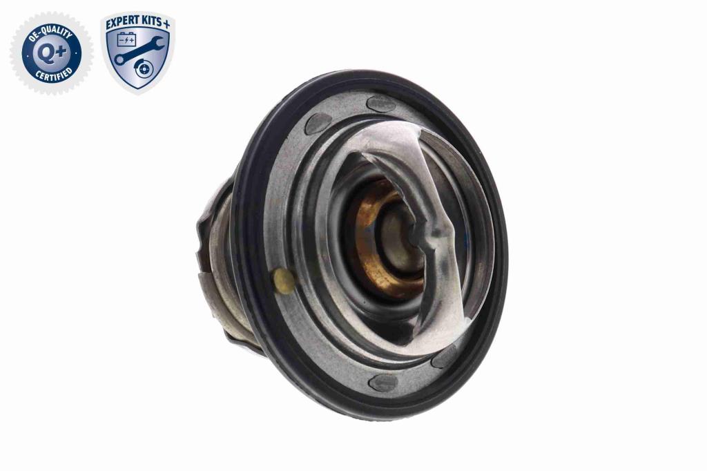 Thermostat d'eau (Calorstat) ACKOJA A63-99-0004
