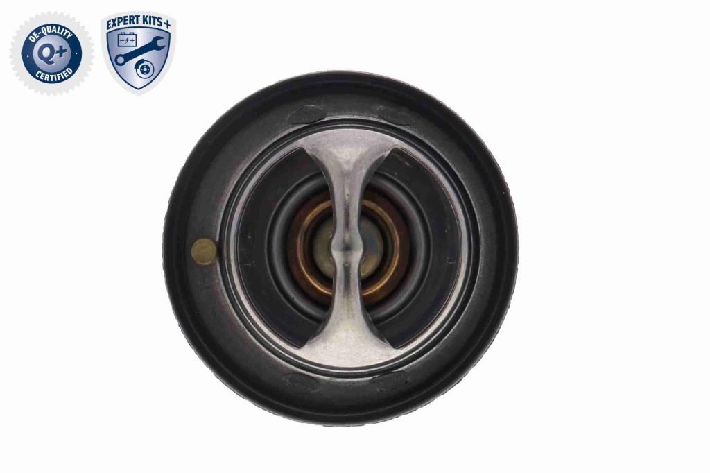 Thermostat d'eau (Calorstat) ACKOJA A63-99-0004