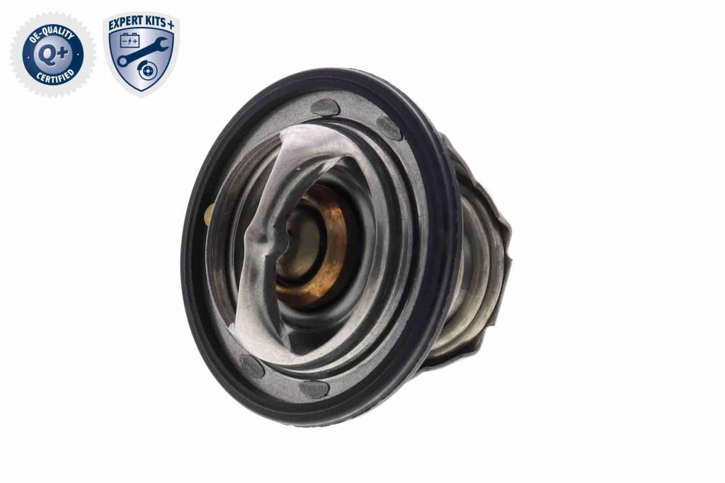 Thermostat d'eau (Calorstat) ACKOJA A63-99-0004
