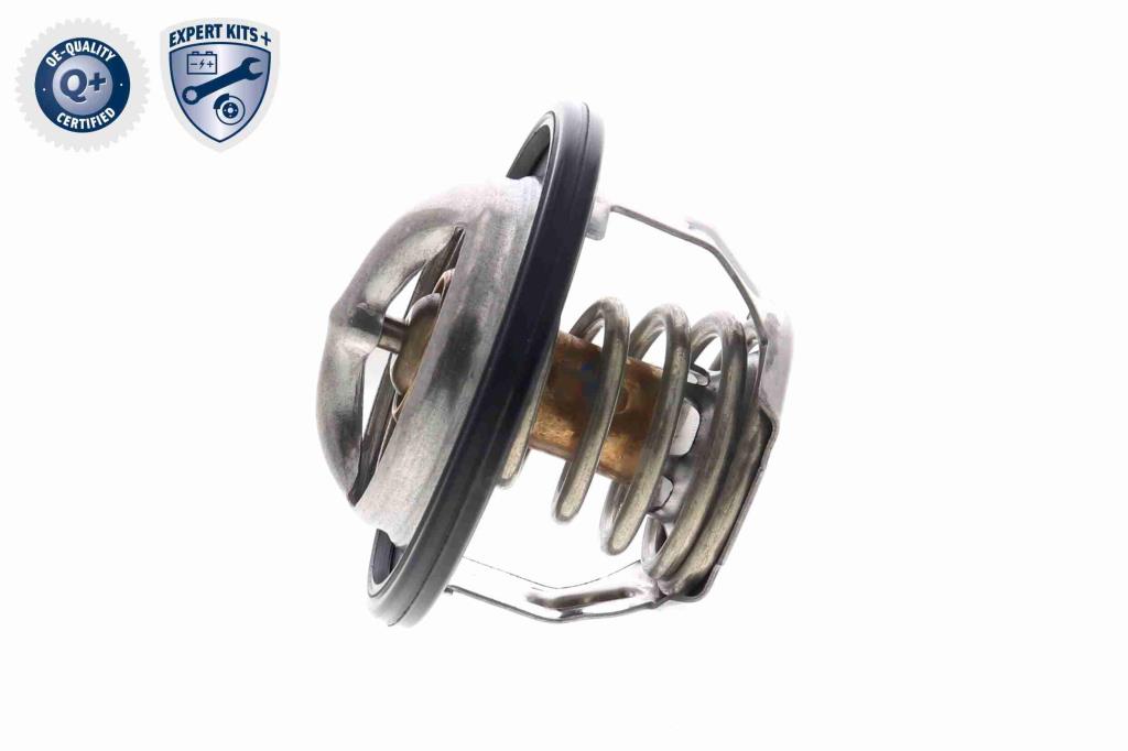 Thermostat d'eau (Calorstat) ACKOJA A63-99-0004
