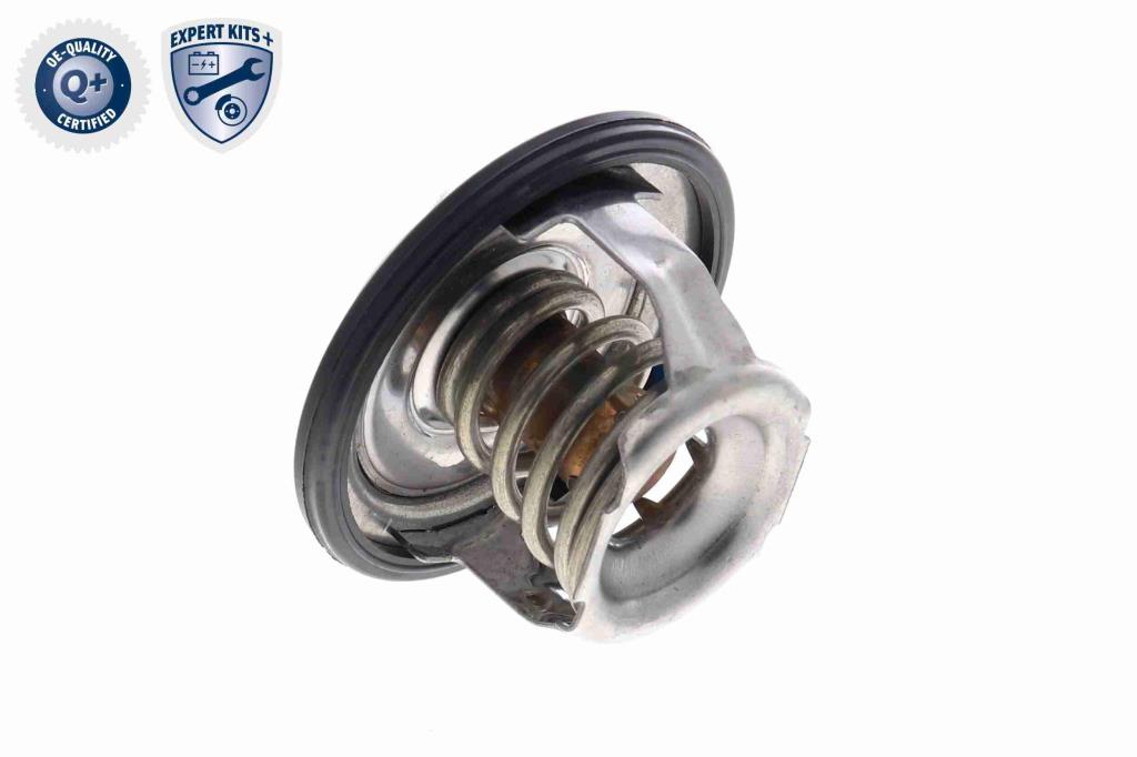 Thermostat d'eau (Calorstat) ACKOJA A63-99-0004