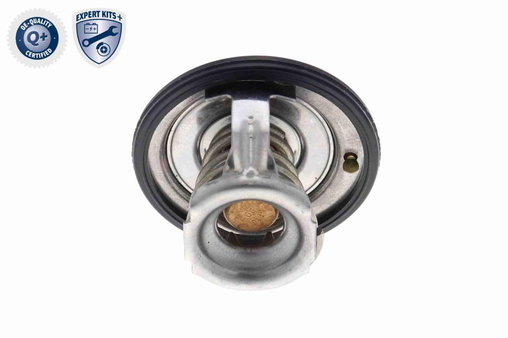Thermostat d'eau (Calorstat) ACKOJA A63-99-0004