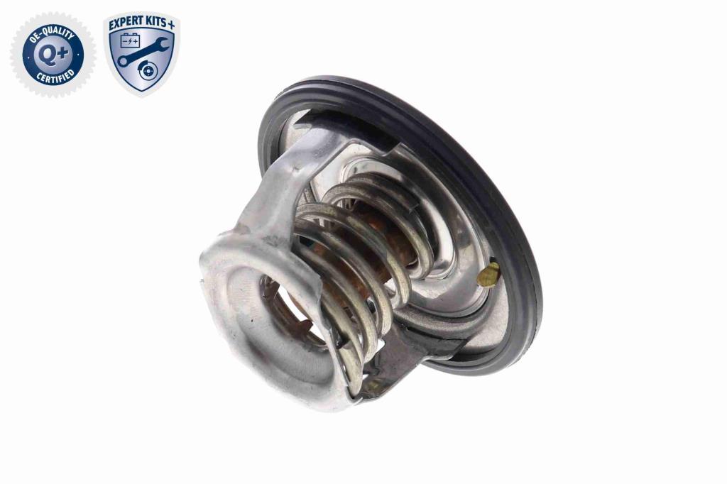 Thermostat d'eau (Calorstat) ACKOJA A63-99-0004