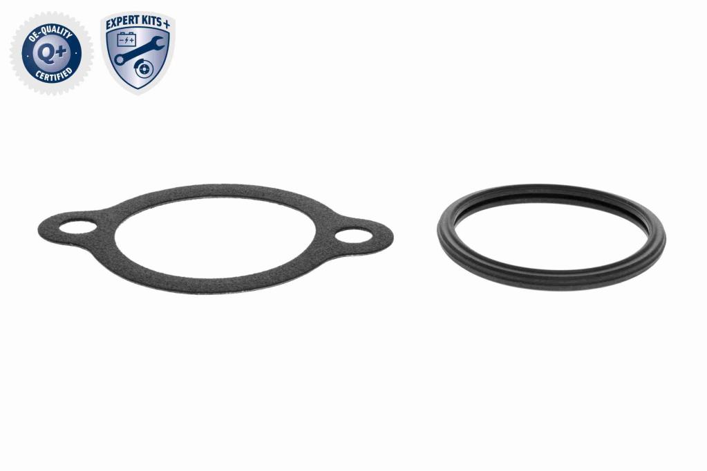 Thermostat d'eau (Calorstat) ACKOJA A64-99-0003