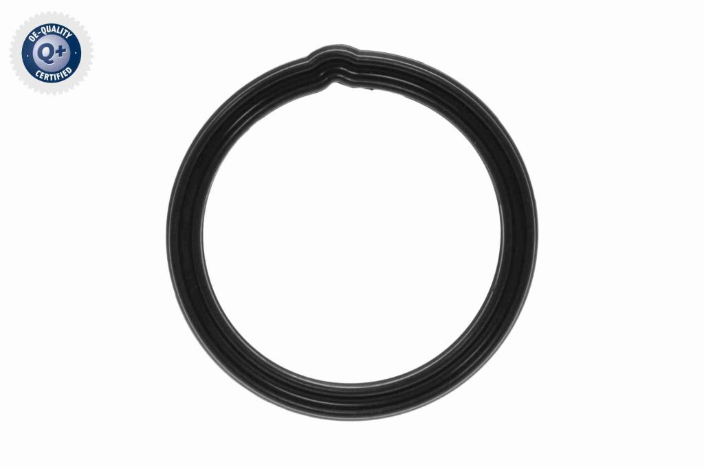 Thermostat d'eau (Calorstat) ACKOJA ref. A64-99-0005