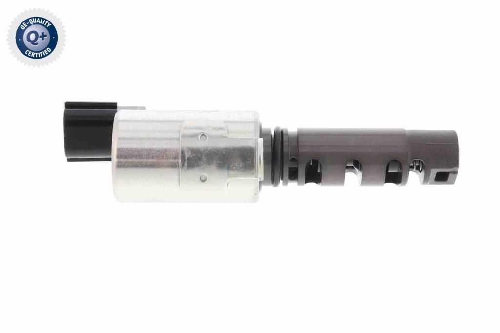 Tapón taladro tapa balancines ACKOJA A70-0346