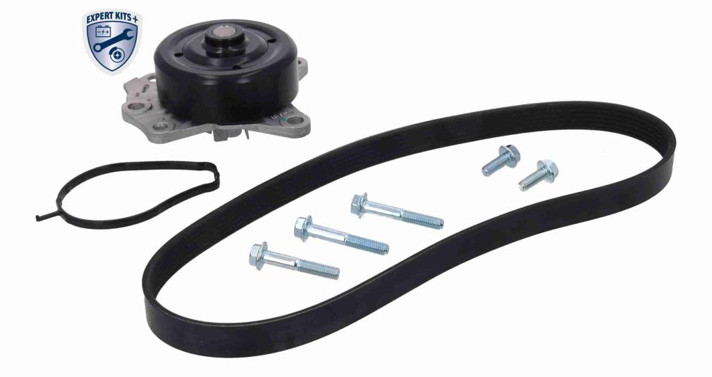 Bomba de agua + kit de correa poli V (Bomba de agua +  kit correas de accesorios) ACKOJA ref. A70-0680