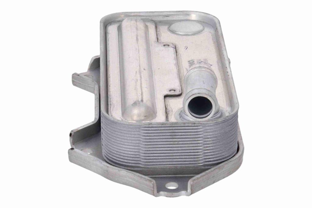 Radiador óleo motor ACKOJA ref. A70-60-0034
