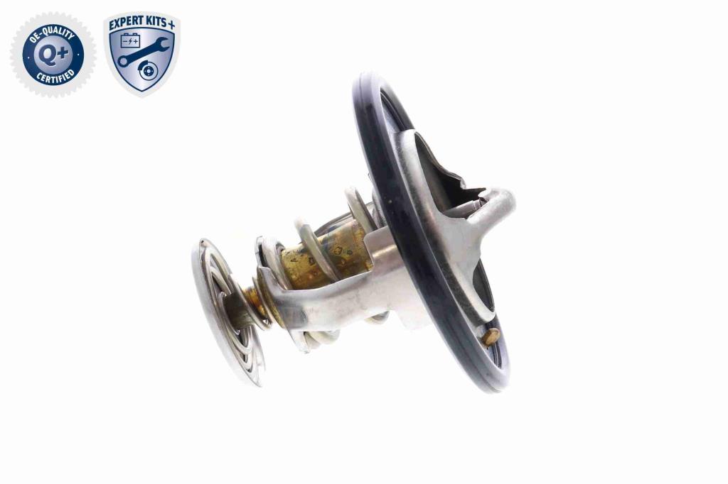 Thermostat d'eau (Calorstat) ACKOJA A70-99-0003