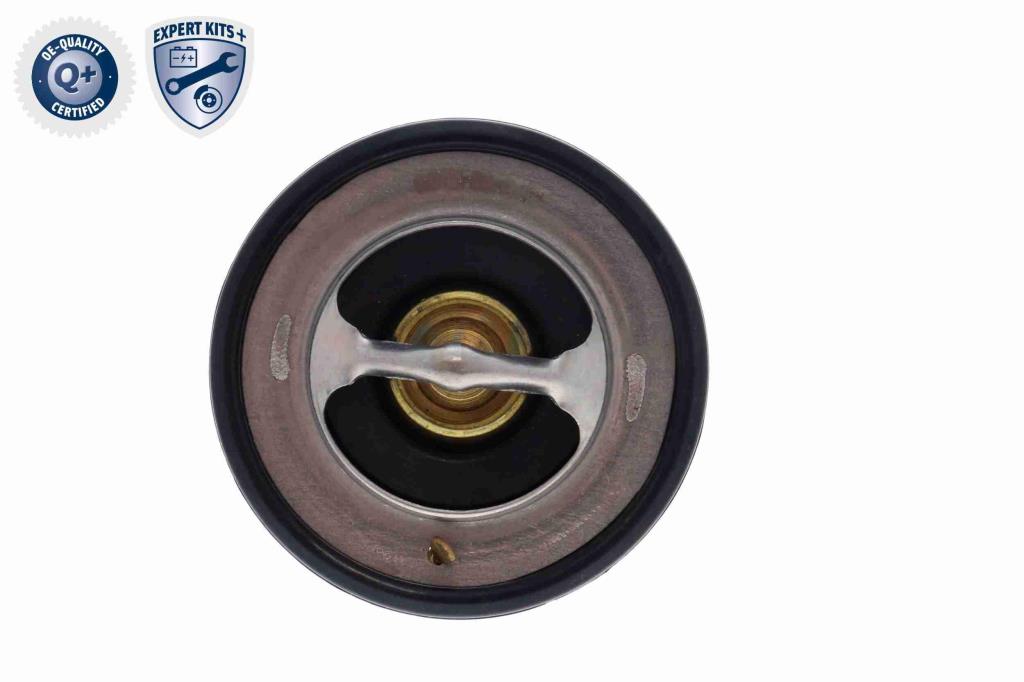 Thermostat d'eau (Calorstat) ACKOJA A70-99-0003