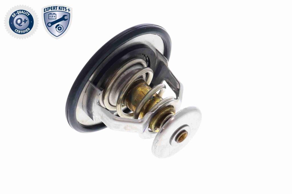 Thermostat d'eau (Calorstat) ACKOJA A70-99-0003