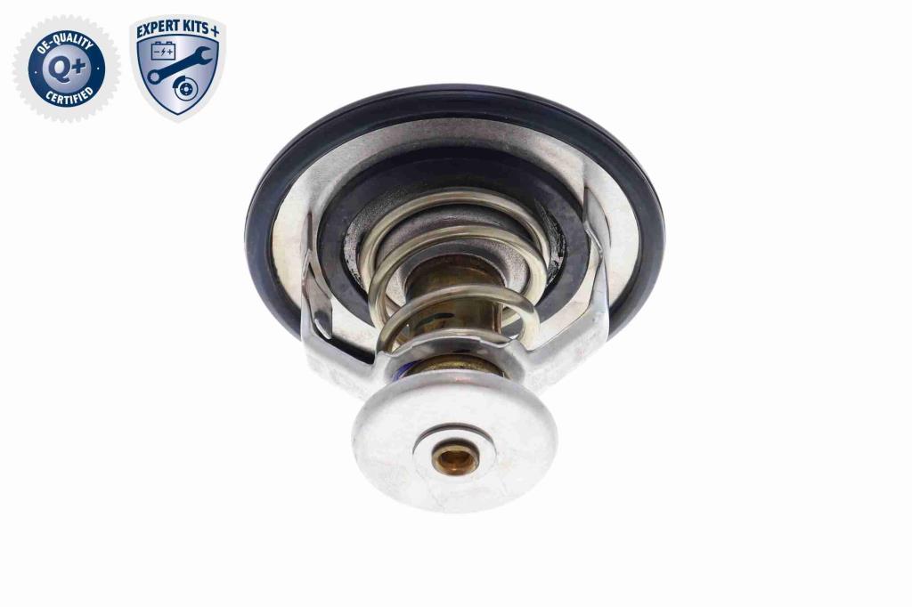 Thermostat d'eau (Calorstat) ACKOJA A70-99-0003