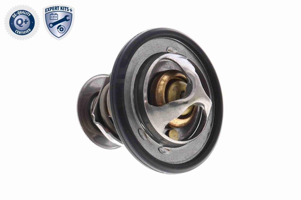 Thermostat d'eau (Calorstat) ACKOJA ref. A70-99-0031