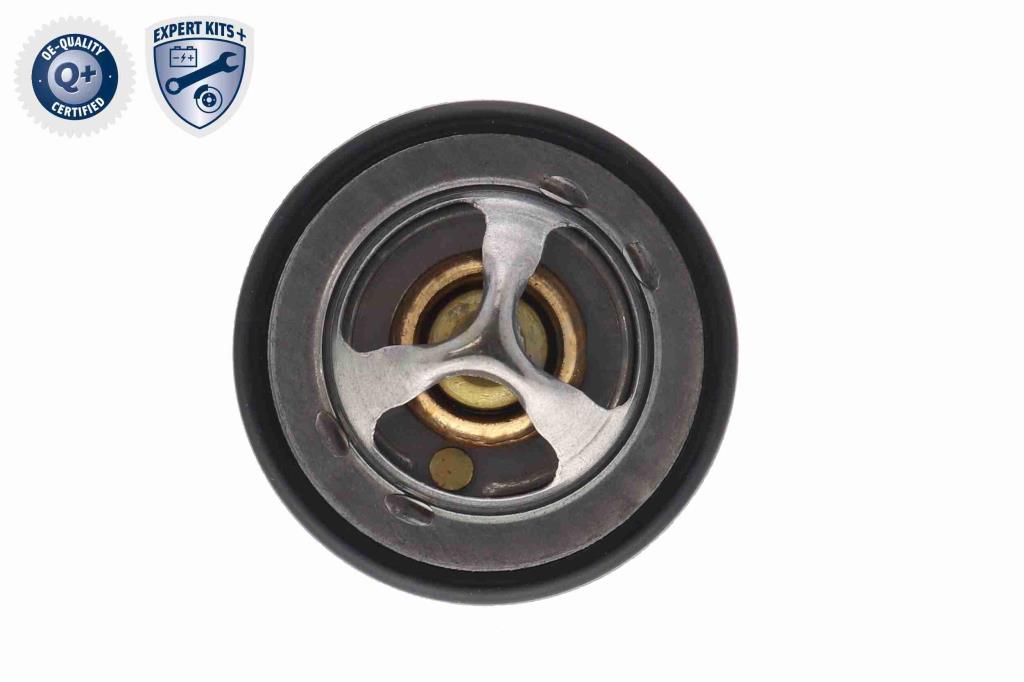 Thermostat d'eau (Calorstat) ACKOJA ref. A70-99-0031