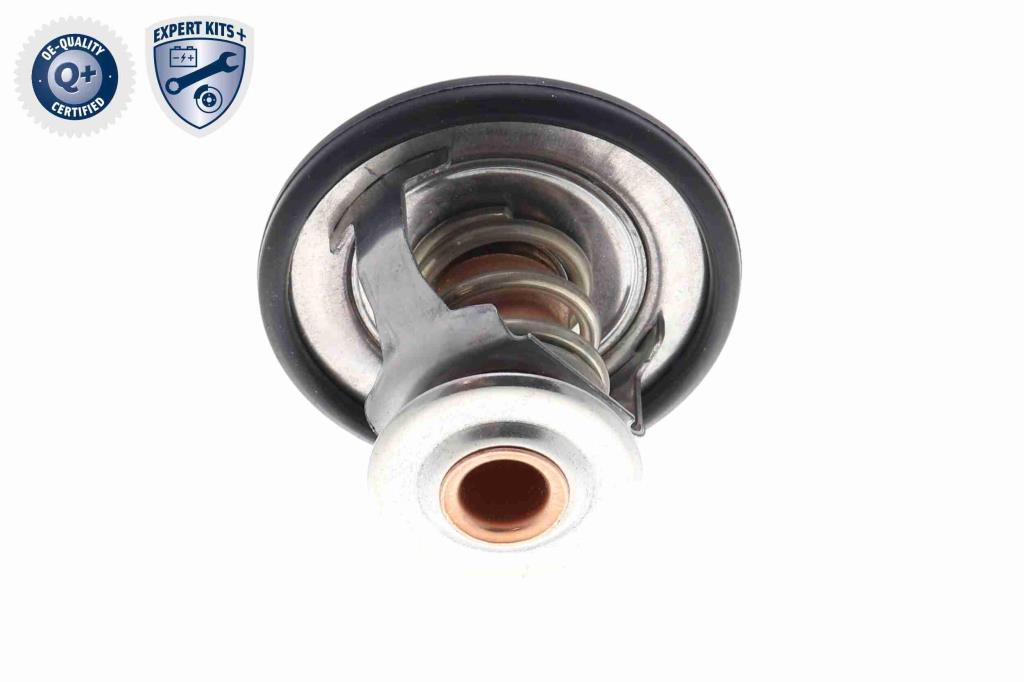 Thermostat d'eau (Calorstat) ACKOJA ref. A70-99-0031