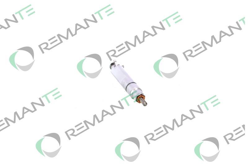 Injecteur REMANTE ref. 002-010-002432R