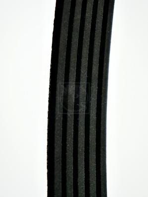 Correa trapezoidal nervada NIPPON PIECES SERVICES ref. M111I76