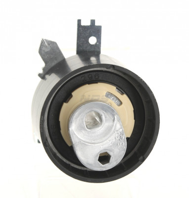 Tensor de correa de distribución NIPPON PIECES SERVICES R113T01A