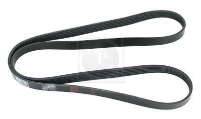 Courroie trapézoïdale à nervures NIPPON PIECES SERVICES ref. T111A75
