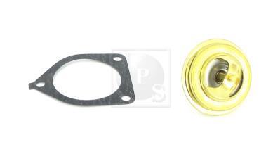 Termostato, refrigerante NIPPON PIECES SERVICES ref. T153A15