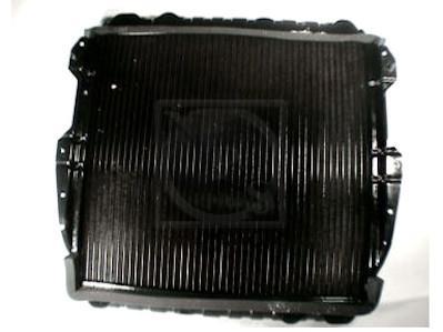 Radiateur moteur (Radiateur de refroidissement) NIPPON PIECES SERVICES T156A103
