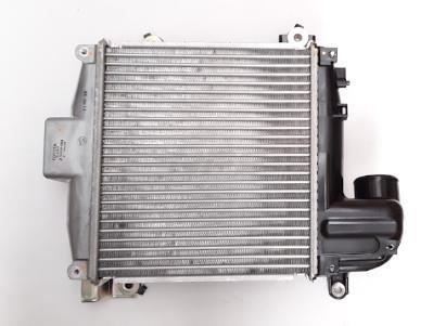 Radiador de admisión, intercooler NIPPON PIECES SERVICES T816A02