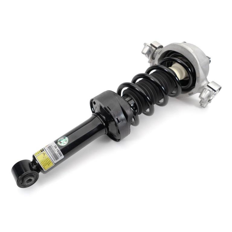Kit de amortecedores e molas de suspensão Arnott Europe ref. C-3552