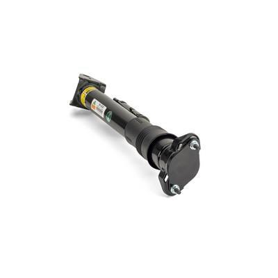 Amortisseurs arrière Arnott Europe ref. SK-3029