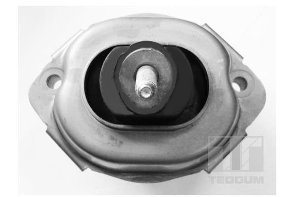 Support moteur (Silent bloc moteur) TEDGUM 00088466