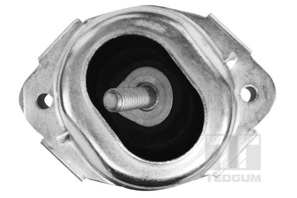 Support moteur (Silent bloc moteur) TEDGUM 00088550