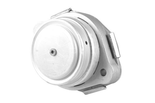 Support moteur (Silent bloc moteur) TEDGUM 00088708