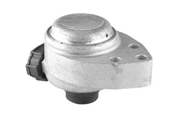 Support moteur (Silent bloc moteur) TEDGUM ref. 00226428