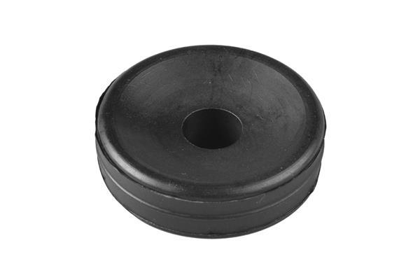 Fixação do conjunto mola / amortecedor TEDGUM ref. 00416484