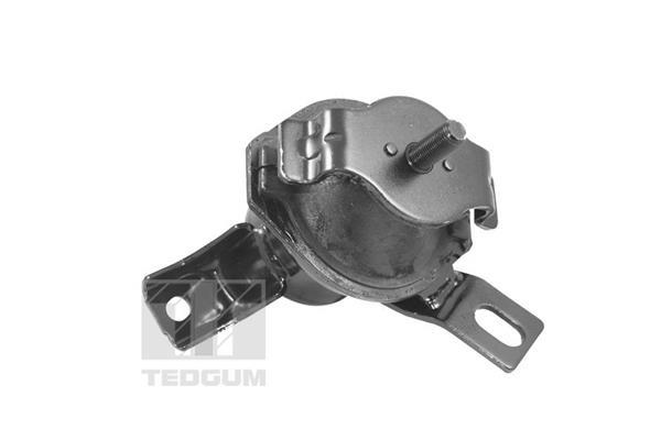 Support moteur (Silent bloc moteur) TEDGUM ref. 00441120