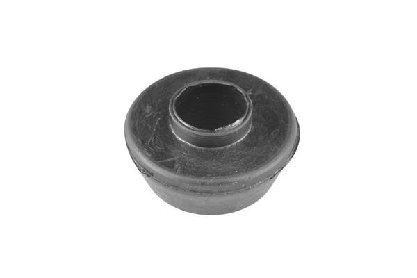 Fixação do conjunto mola / amortecedor TEDGUM ref. 00442956