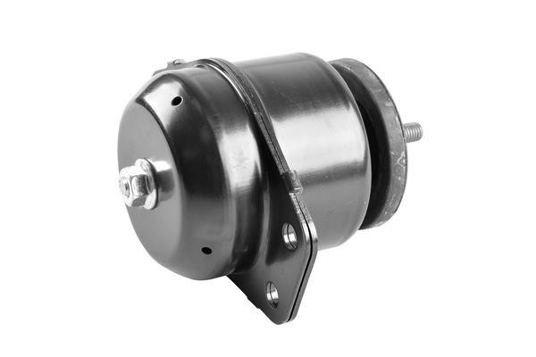 Support moteur (Silent bloc moteur) TEDGUM 00619272